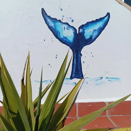 Casa Do Celeiro Aljezur